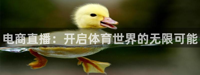 新球体育完整版：电商直播：开启体育世界的无限可能