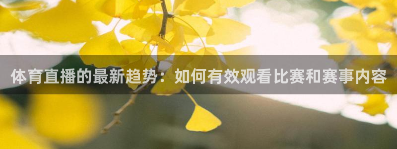 新球体育app