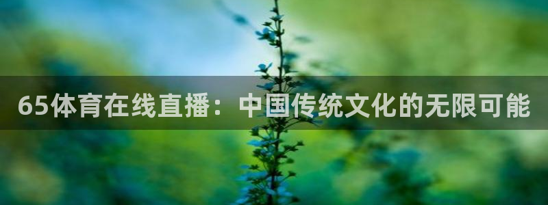 新球体育网球比分：65体育在线直播：中国传统文化的无限可能