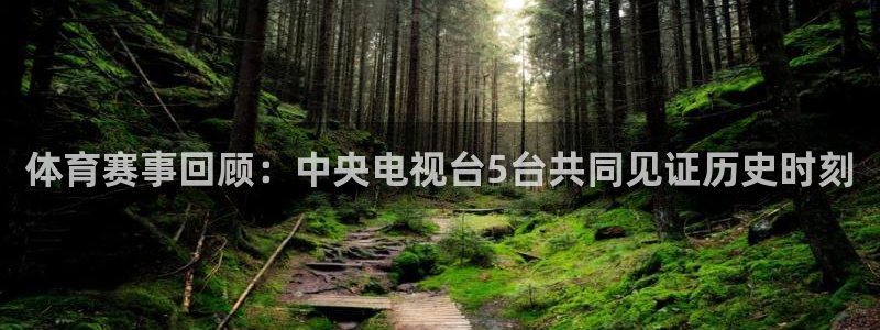 新球体育赛事