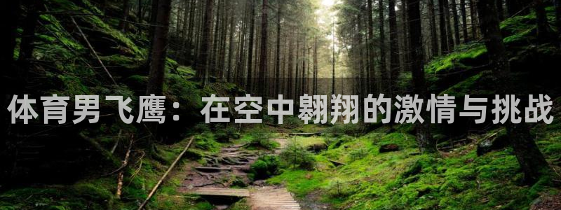 新球体育足球官网：体育男飞鹰：在空中翱翔的激情与挑战