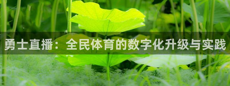 新球体育足球：勇士直播：全民体育的数字化升级与实践