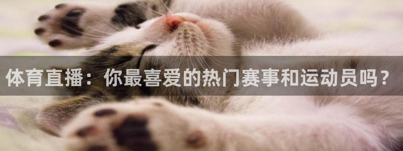 新球足球：体育直播：你最喜爱的热门赛事和运动员吗？