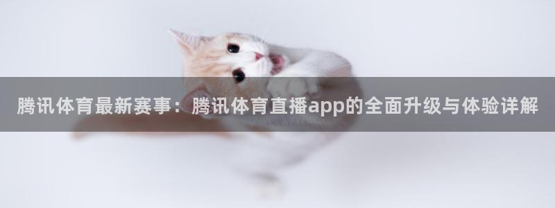 新球赛直播：腾讯体育最新赛事：腾讯体育直播app的全面升级与体验详解