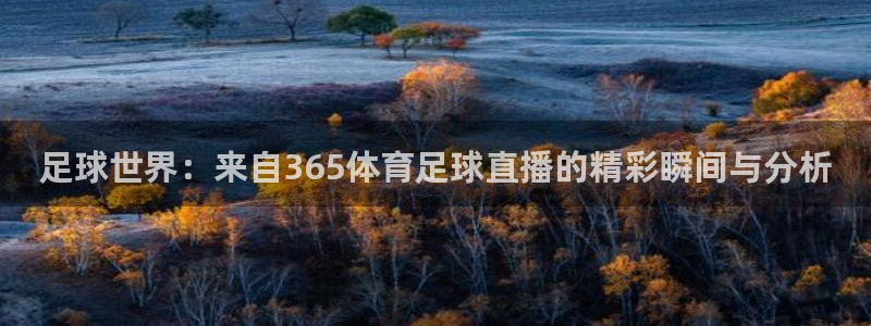 新球体育赛事：足球世界：来自365体育足球直播的精彩瞬间与分析