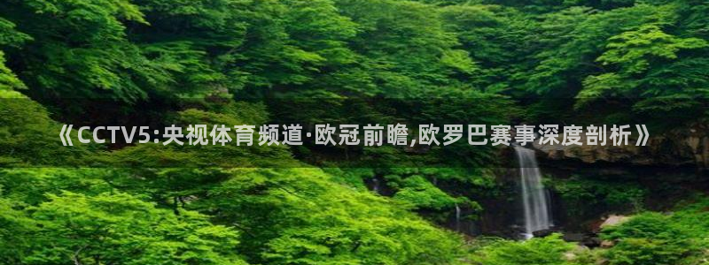 新球体育足球：《CCTV5:央视体育频道·欧冠前瞻,欧罗巴赛事深度剖析》