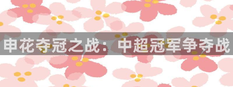 新球体育赛事：申花夺冠之战：中超冠军争夺战