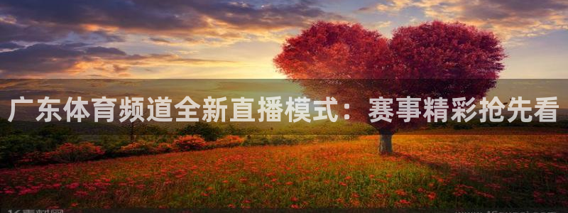 新球体育篮球比分：广东体育频道全新直播模式：赛事精彩抢先看